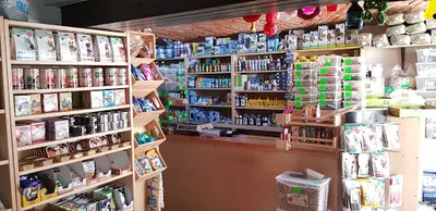 "INNESA" Salon zoologiczno-akwarystyczny